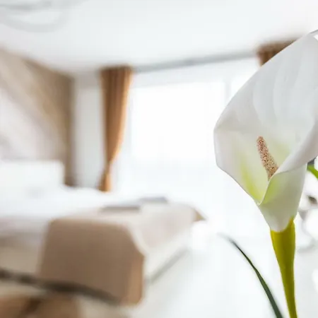 Apartment Alonisos Lux Braşov Esterno foto