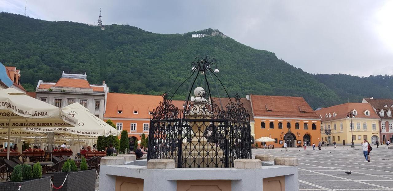 Alonisos Lux Braşov