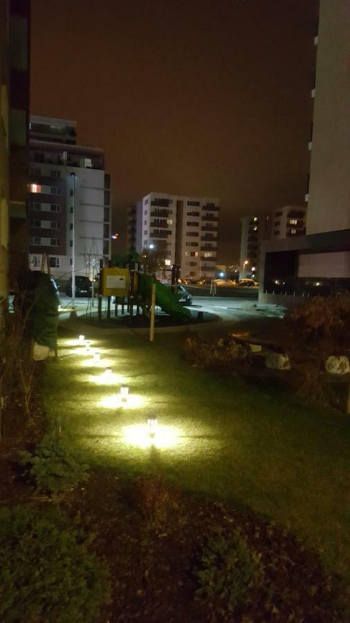 Alonisos Lux * Braşov