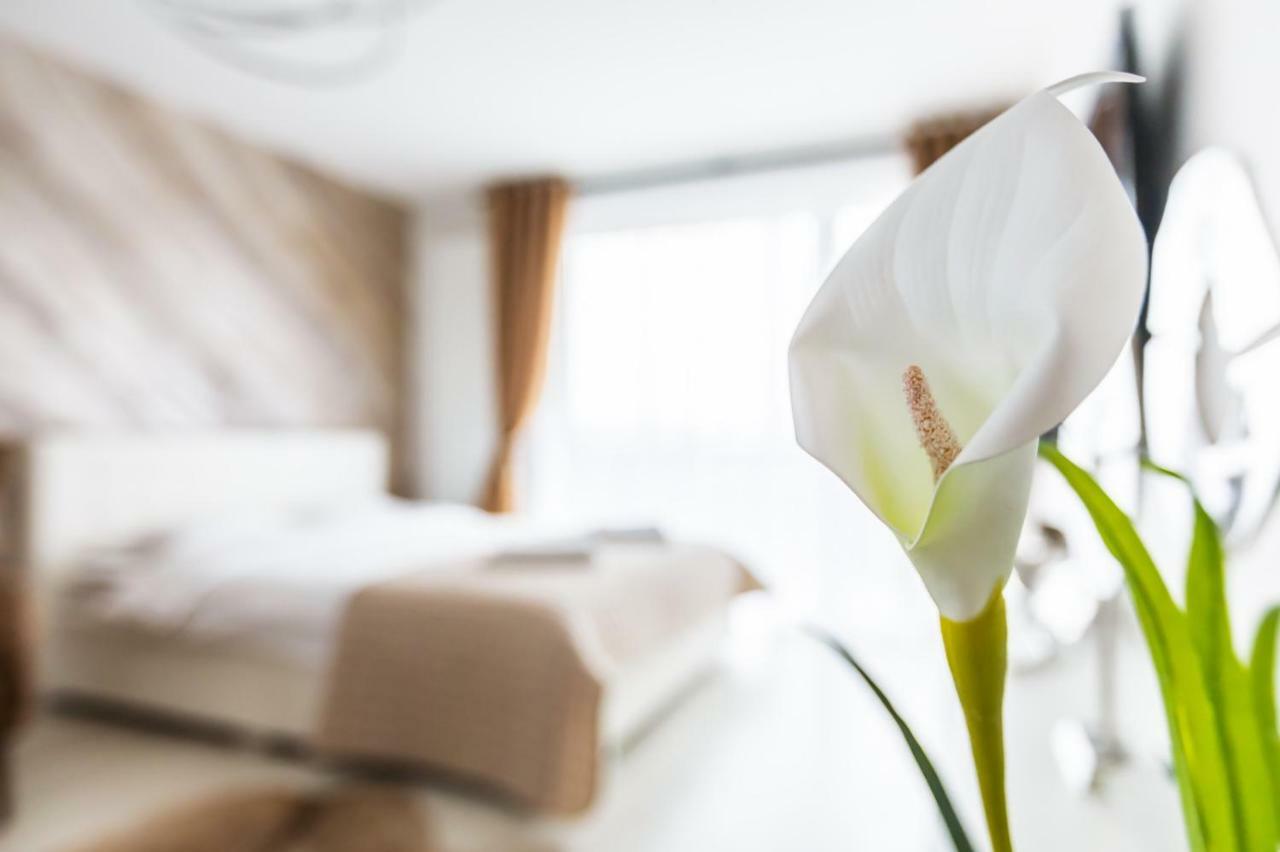 Apartament Alonisos Lux Brașov